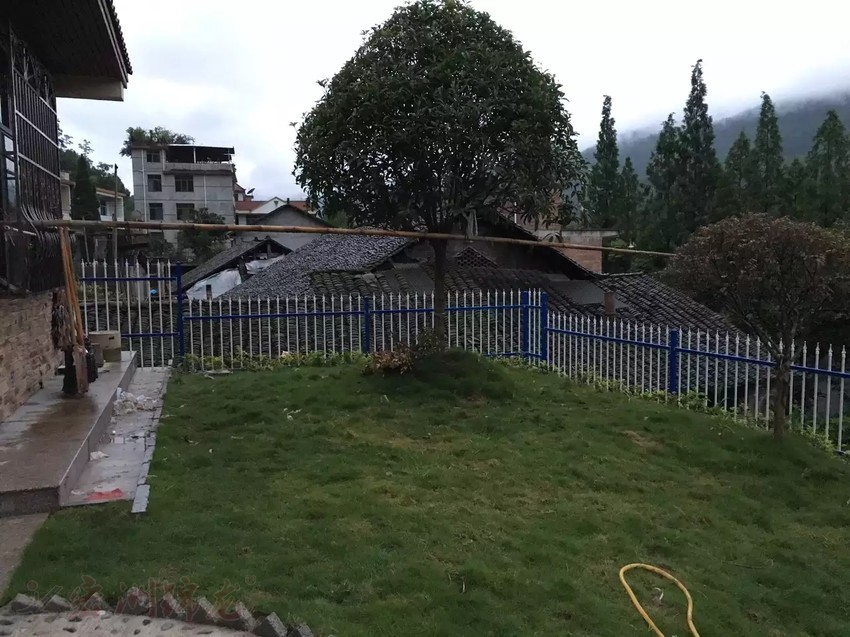 綠化鋅鋼護(hù)欄案例實(shí)拍